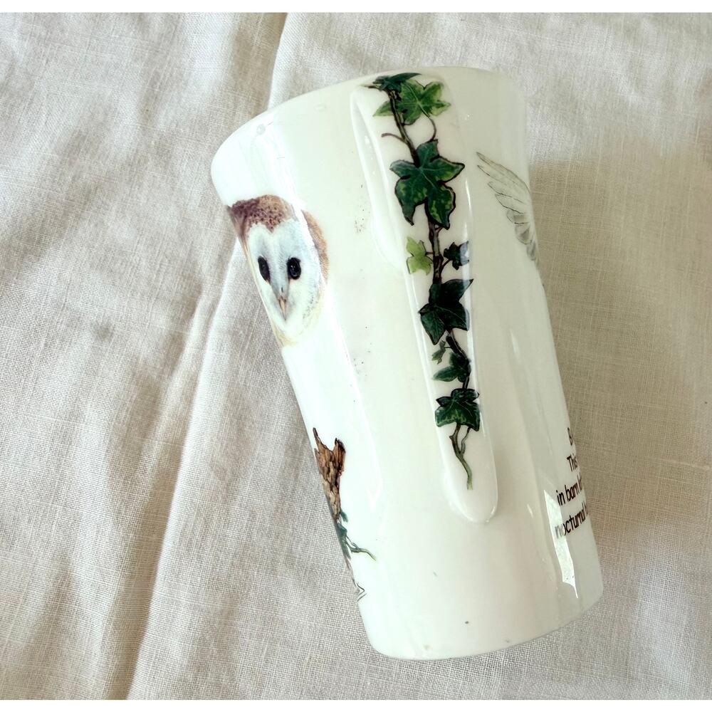 Roy Kirkham Owls Barn Owl Fine Bone China Mug Made in England Nature Gift - Picture 5 of 5